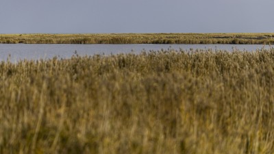 2022 10 13 darsser ort rundgang