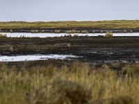 2022 10 13 darsser ort rundgang