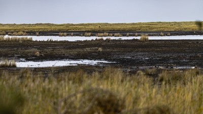 2022 10 13 darsser ort rundgang