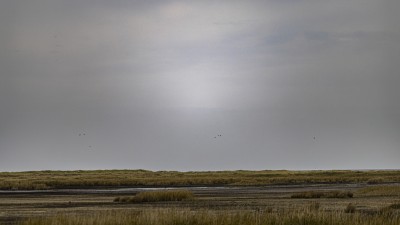 2022 10 13 darsser ort rundgang