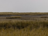 2022 10 13 darsser ort rundgang