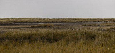 2022 10 13 darsser ort rundgang