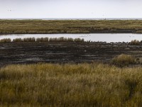 2022 10 13 darsser ort rundgang