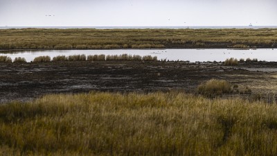 2022 10 13 darsser ort rundgang