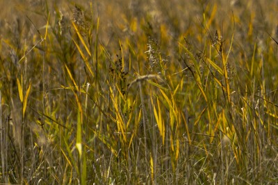 2022 10 13 darsser ort rundgang