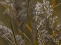 2022 10 13 darsser ort rundgang