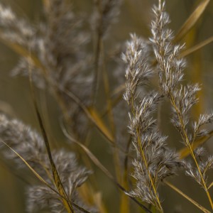 2022 10 13 darsser ort rundgang