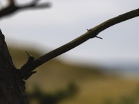 2022 10 13 darsser ort rundgang