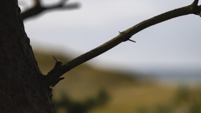 2022 10 13 darsser ort rundgang