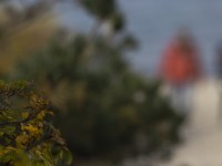 2022 10 13 darsser ort rundgang