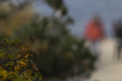 2022 10 13 darsser ort rundgang