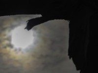 2022 10 13 darsser ort rundgang