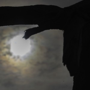 2022 10 13 darsser ort rundgang