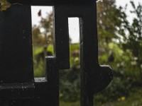 2022 10 14 ahrenshoop