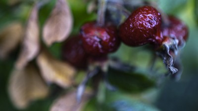 2022 10 14 ahrenshoop