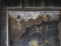 2022 10 14 ahrenshoop