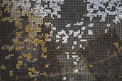 2022 10 14 ahrenshoop