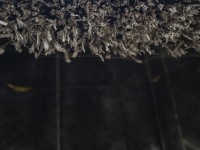 2022 10 14 ahrenshoop