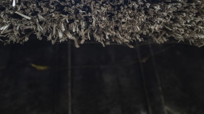 2022 10 14 ahrenshoop