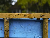 2022 10 14 ahrenshoop