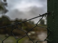 2022 10 14 ahrenshoop