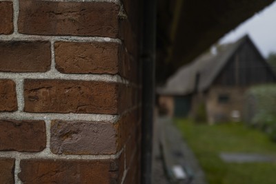 2022 10 14 ahrenshoop