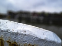 2022 10 14 ahrenshoop