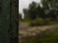 2022 10 14 ahrenshoop