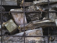 2022 10 14 ahrenshoop