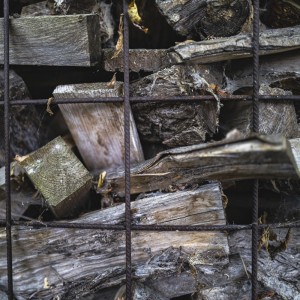 2022 10 14 ahrenshoop