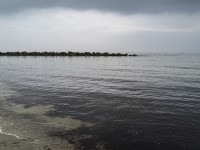 2022 10 14 ahrenshoop