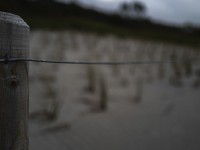 2022 10 14 ahrenshoop