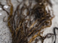 2022 10 14 ahrenshoop