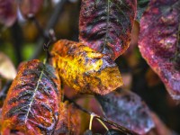 2022 10 14 ahrenshoop