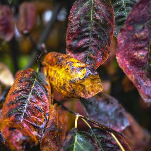 2022 10 14 ahrenshoop