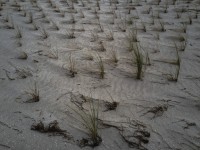 2022 10 14 ahrenshoop