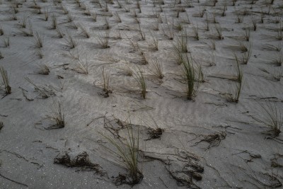 2022 10 14 ahrenshoop