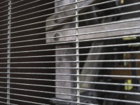 2022 10 14 ahrenshoop