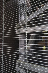 2022 10 14 ahrenshoop