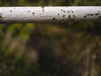 2022 10 14 ahrenshoop