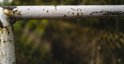 2022 10 14 ahrenshoop