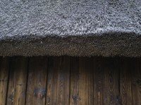 2022 10 14 ahrenshoop