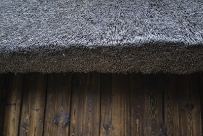 2022 10 14 ahrenshoop