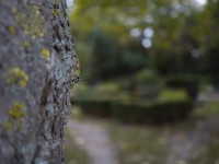 2022 10 14 ahrenshoop