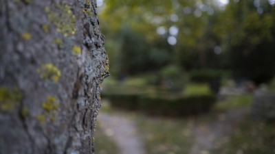 2022 10 14 ahrenshoop