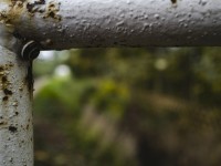 2022 10 14 ahrenshoop