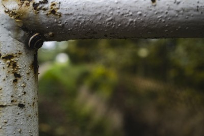 2022 10 14 ahrenshoop