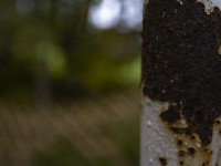 2022 10 14 ahrenshoop