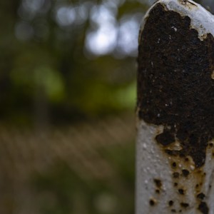 2022 10 14 ahrenshoop