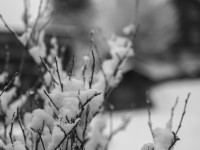 2022 12 05 blatten schnee